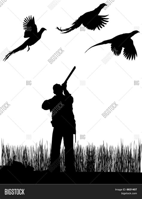 Pheasant Bird Hunter Vector & Photo (Free Trial) | Bigstock