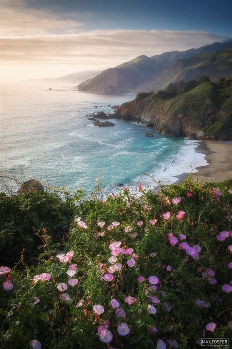 Seaside Melody | Big Sur, California | Max Foster Photography