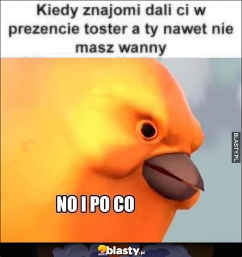 Kiedy Znajomi Dali Ci W Prezencie Toster A Ty Nawet Nie Masz Wanny No