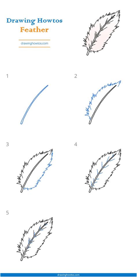 How to Draw a Feather - Step by Step Easy Drawing Guides - Drawing Howtos