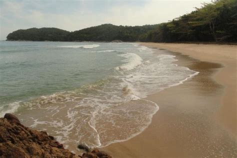 Praia Brava Da Almada Ubatuba PraiasNoBrasil