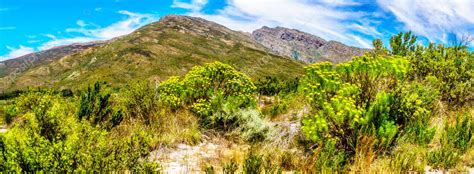 ᐈ Fold mountains stock images Royalty Free cape fold mountains