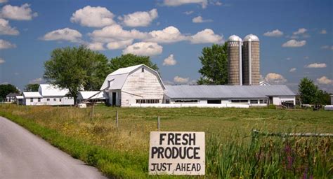 A Peek Inside The Amish Farms Of The Ny Finger Lakes