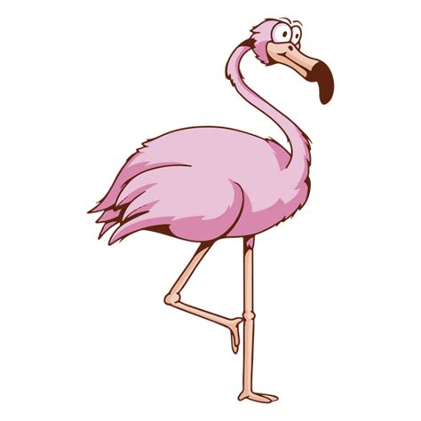 Tropischer Vogelkarikatur Des Flamingos Png Und Svg Design F R T Shirts