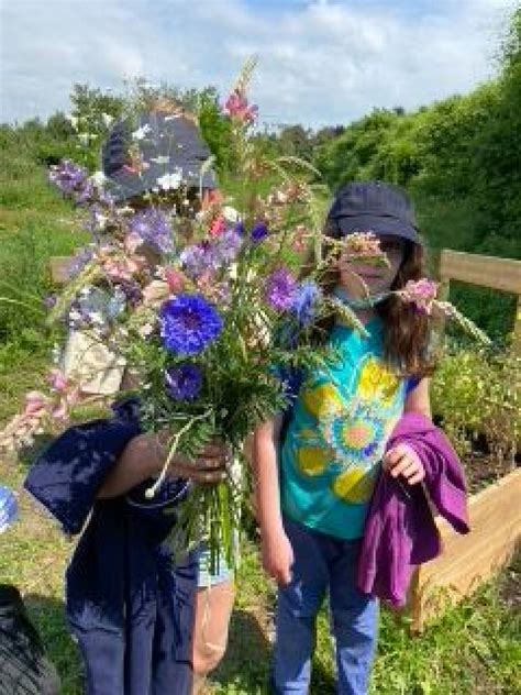 Wecandoo Visitez une ferme florale et découvrez la permaculture