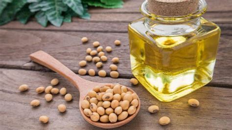 Gene Edited High Oleic Soybean Oil Now Available In The Us