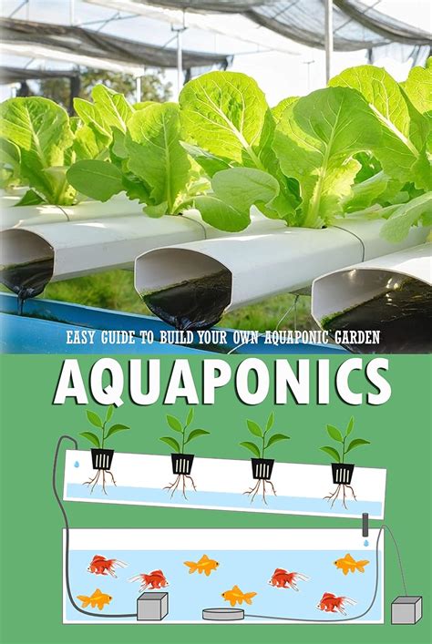 Aquaponics Easy Guide To Build Your Own Aquaponic Garden Aquaponics