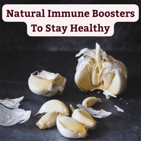 Natural Immune Boosters To Stay Healthy Baldwins G Baldwin And Co