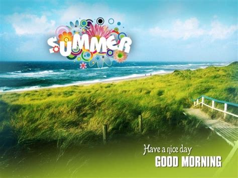 Good Morning Summer - Good Morning Wishes & Images