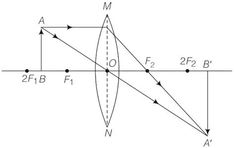 Draw Ray Diagrams Showing The Image Formation By A Convex Knowledgeboat