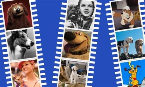 The 50 Best Movie Dogs in Hollywood History, Ranked | BeChewy