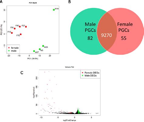 Figure 1 From The Transcriptome Of Chicken Migratory Primordial Germ