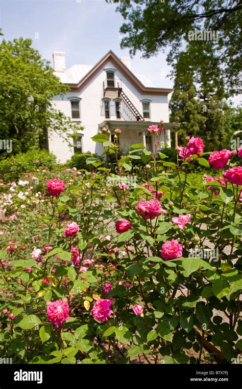 Snug Harbor Cultural Centre On Staten Island Stock Photo Alamy