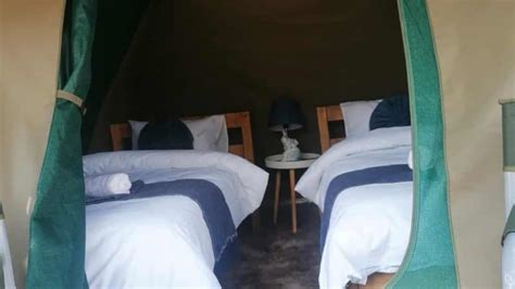 3-Day Camping Kruger Park Safari Tour☑️| Book Online