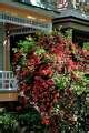 Vertical Gardening Maximizes Space For Flowers Veggies