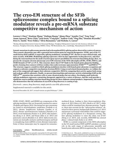 Pdf The Cryo Em Structure Of The Sf B Spliceosome The Cryo Em