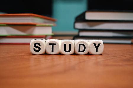 photo boy reading studying books children young small hippopx