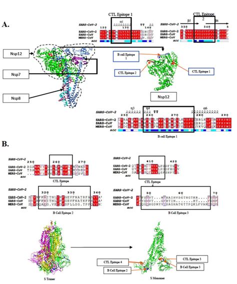 Strategy To Configure Multi Epitope Recombinant Immunogens With