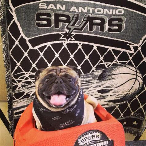 heinzy   san antonio spurs fan spurs fans san antonio spurs spurs