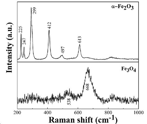 Raman spectra of α Fe 2 O 3 hexagonal plates and Fe 3 O 4 polyhedral