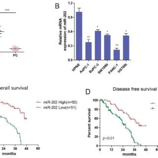 MiR 202 Is Decreased In PC And Associated With Poor Prognosis A