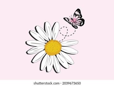 Daisy Flower Vector Art Design Stock Vector (Royalty Free) 1987776698 ...