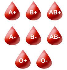 The Ultimate Guide to Understanding O Blood Type Dominance - Hunter Games Magazine