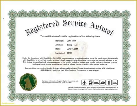 Service Dog Certificate Template