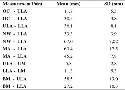 Labial Artery Semantic Scholar