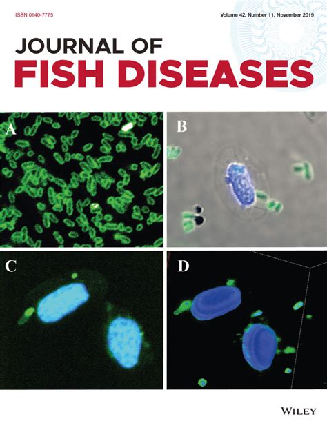 Aeromonas Salmonicida Infects Atlantic Salmon Salmo Salar Erythrocytes Valderrama 2019