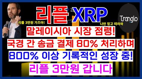 리플xrp 말레이시아 시장 점령 국경 간 송금 결제 80 처리하며 800 이상 기록적인 성장 중 리플 3만원 갑니다