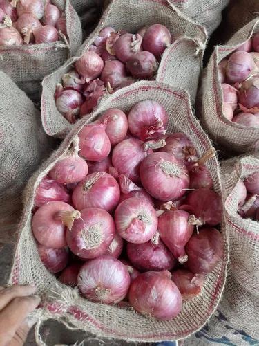 A Grade Maharashtra Fresh Red Onion Gunny Bag Onion Size Available