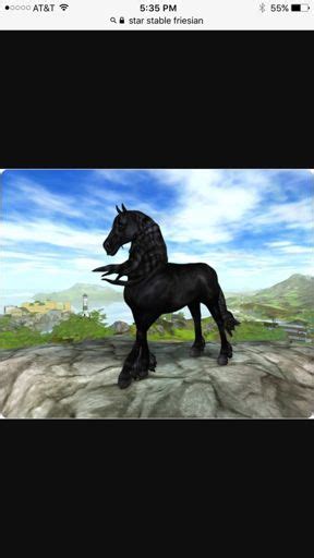 How Well Do You Know Star Stable Star Stable Online Amino