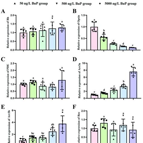 Effects Of BuP On The Relative Expression Levels Of Rh A Opsin B