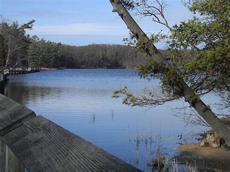 Lost Lake At Ludington State Park Pure Michigan