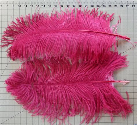 How To Choose Ostrich Feathers Out Of A Portrait