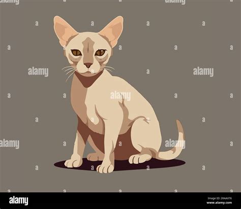 Cat Flat Vector Illustration Stock Vector Image And Art Alamy