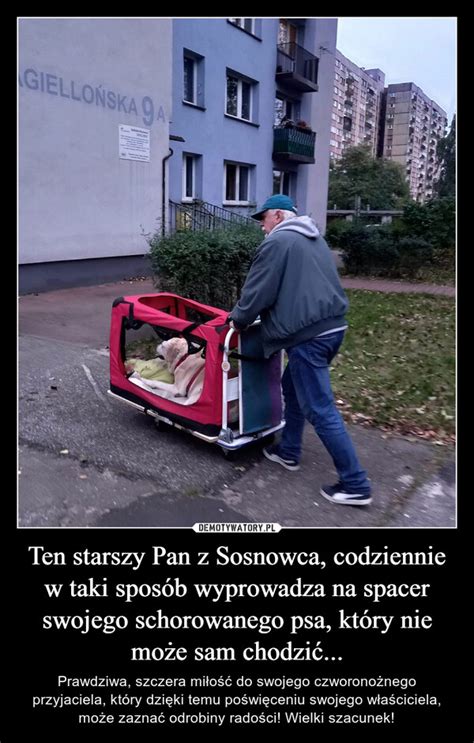 Ten Starszy Pan Z Sosnowca Codziennie W Taki Spos B Wyprowadza Na