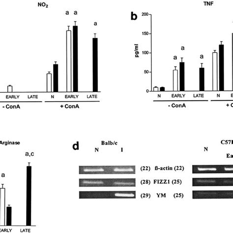 Cytokine Levels In Serum From Balb C And C Bl Mice Infected With T