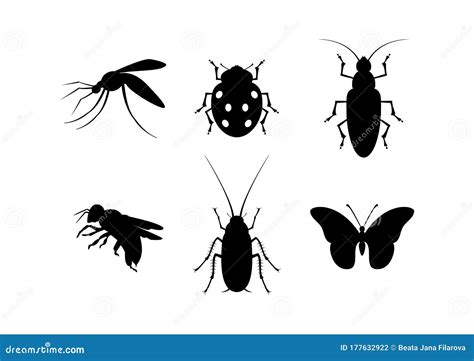 Different Types Of Insect Black Silhouette Icon Set Vector Stock Vector