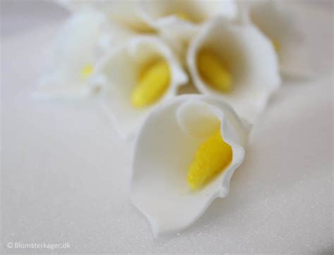 How To Make Fondant Water Lily Flowers Best Flower Site