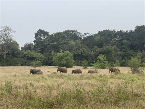 Sri Lanka Knuckles Trekking Kandy 2022 Lohnt Es Sich Mit Fotos