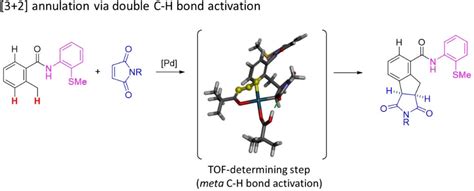 Theoretical Investigations Of Palladiumcatalyzed Annulation Via