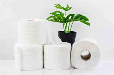 Bamboo Toilet Paper Is It Septic Safe Bamboo Toilet Paper