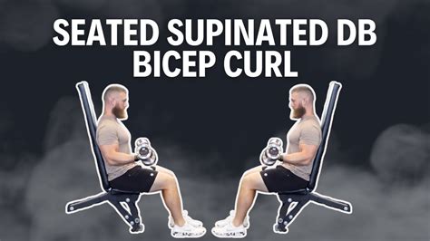 Seated Supinated Db Bicep Curl Youtube