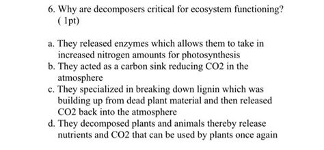 Solved 6. Why are decomposers critical for ecosystem | Chegg.com 
