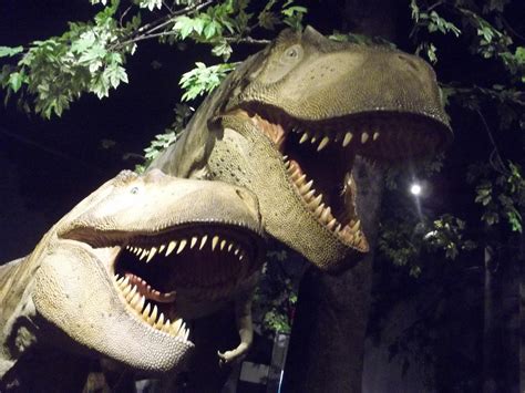 two T-rex 2 by fatthoron on DeviantArt