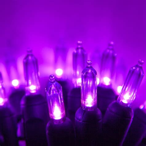 LED Christmas Lights - 50 T5 Purple LED Christmas Tree Lights, 6" Spacing