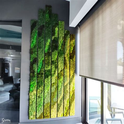 Green Wallscapes Green Wall Moss Wall Plant Wall Ombre Moss Ombre