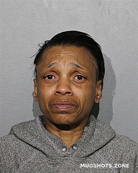 Tracy A Chen Chicago Mugshots Zone